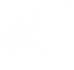 User Side / Demand Drivers